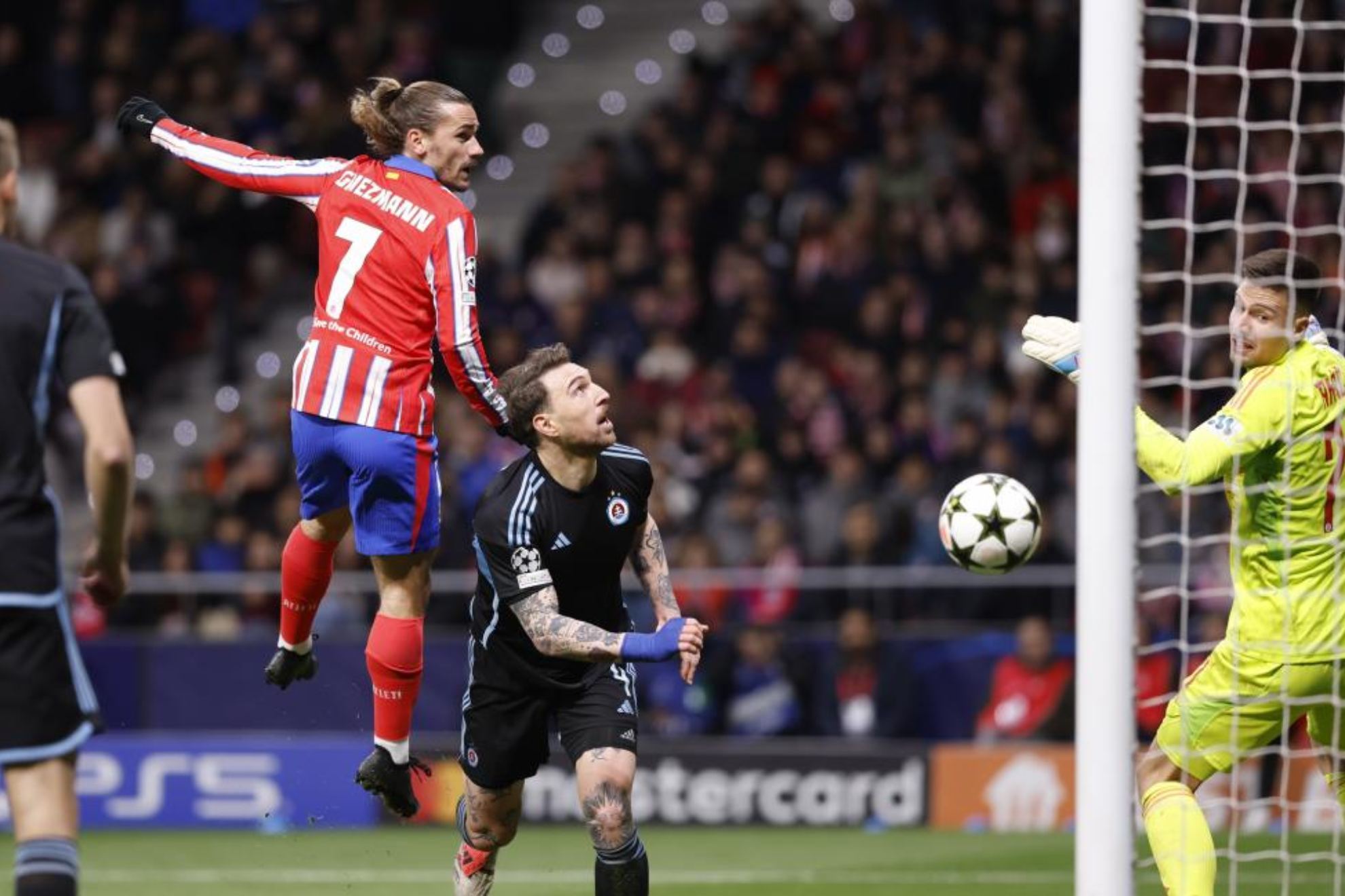 增添更多的 增添更多的