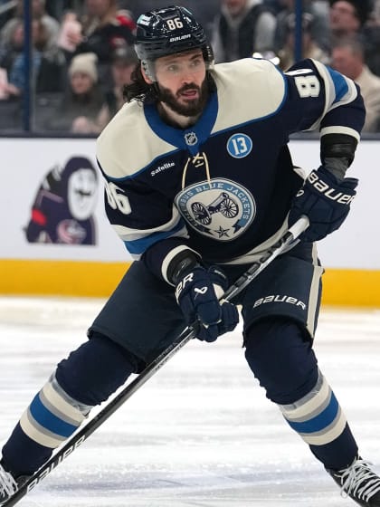 这支球队无 这支球队无